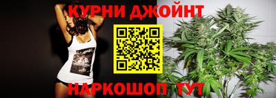 шишки Кинель