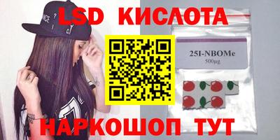 шишки Кинель