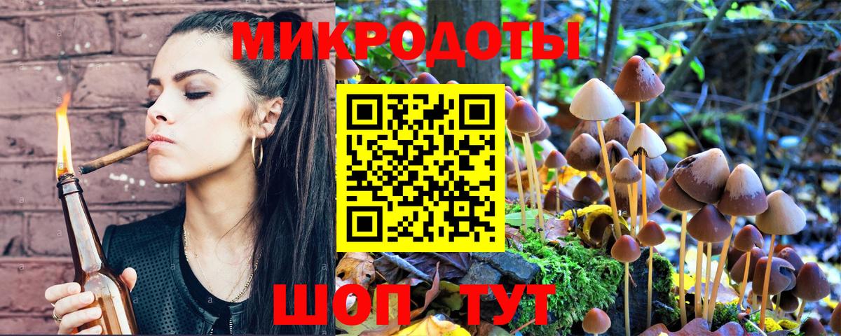 Псилоцибиновые грибы Psilocybine cubensis Каспийск
