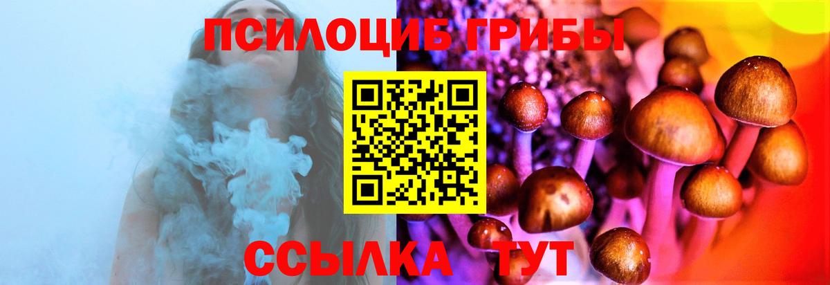 Псилоцибиновые грибы прущие грибы  Вход с VPN  Псилоцибиновые грибы MAGIC MUSHROOMS  Каспийск 
